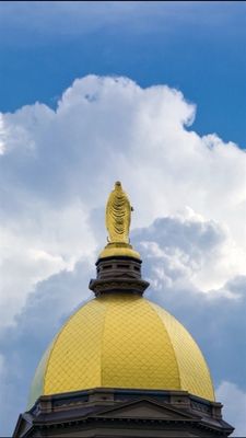 University of Notre Dame by null