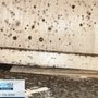 Photo of FDP Mold Remediation