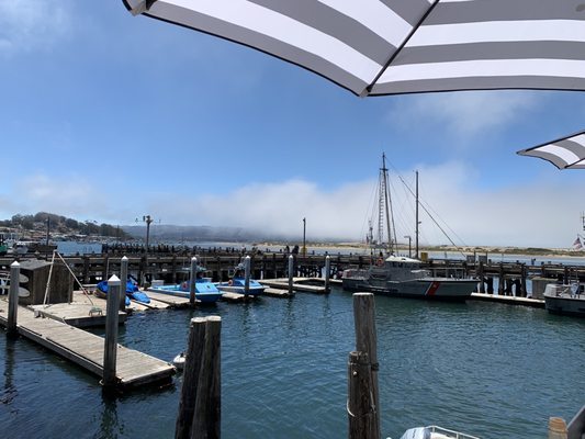 Morro Bay Oyster Company by null
