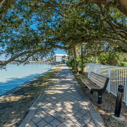 Destin West Beach & Bay Resort - Beautiful shady oak with a bench to relax and viewing the Bay.