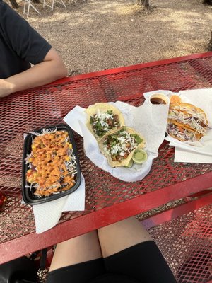 CJ's Tacos #2 - Thicket by null