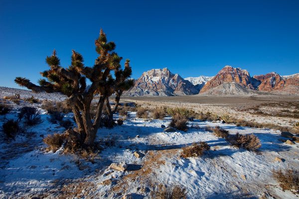 Las Vegas Sotheby's International Realty by null