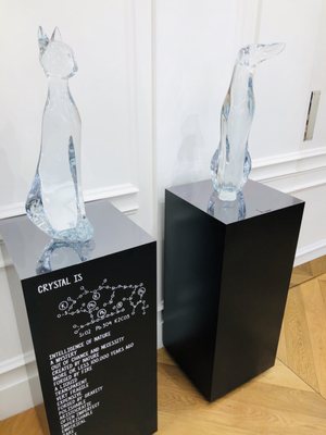 Baccarat Houston by null