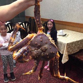 Top Cantonese Cuisine Restaurant - King crab - 10lbs - Dim Sum Near Me - Vancouver, British Columbia Top Cantonese Cuisine Restaurant - King crab - 10lbs - Dim Sum Near Me - Vancouver, British Columbia
