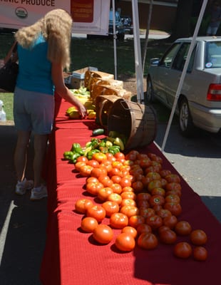 Davidson Farmer's Market by null