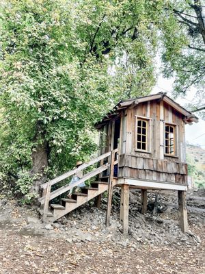 Stone Soup Farm & Heritage Orchard by null