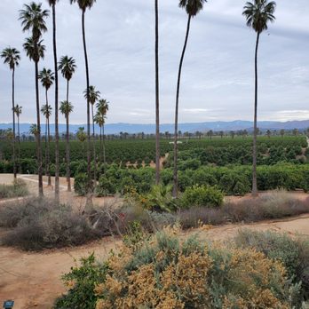 California Citrus State Historic Park - Nature - Parks Near Me - Riverside, California California Citrus State Historic Park - Nature - Parks Near Me - Riverside, California