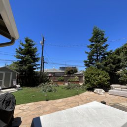 During tree trimming During tree trimming