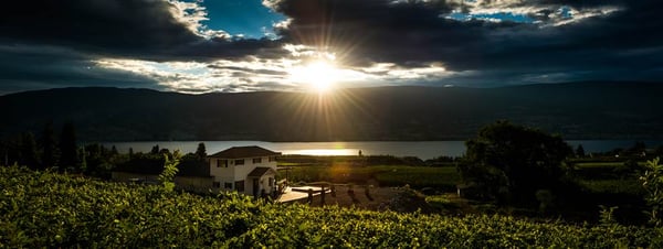 Lunessence Winery & Vineyard by null