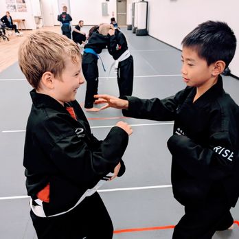 Rise Martial Arts - Dexter - Brazilian Jiu-jitsu Near Me - Dexter, Michigan Rise Martial Arts - Dexter - Brazilian Jiu-jitsu Near Me - Dexter, Michigan
