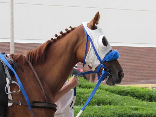 HAZEL PARK RACEWAY CLOSED 61 Photos & 35 Reviews Race Tracks