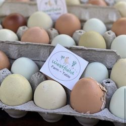 Westfield Farm Table - Organic free range rainbow eggs