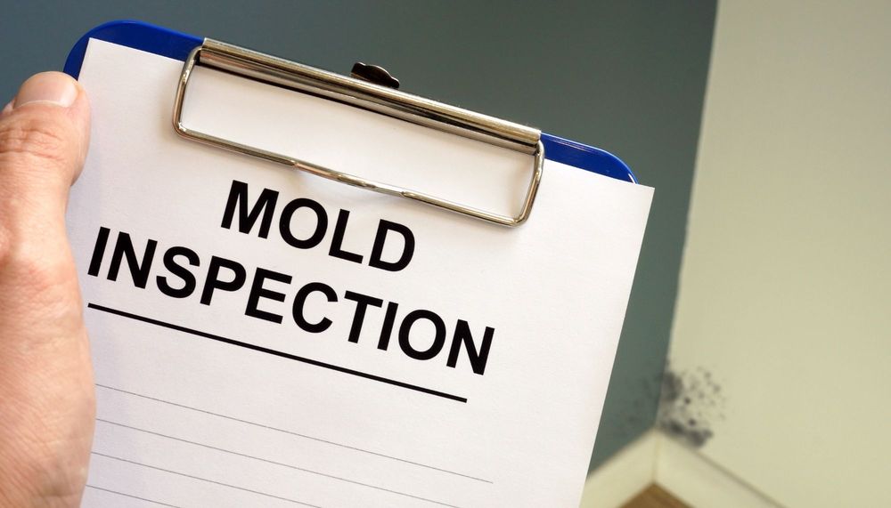 The Flower City Mold Inspection - mold inspector in Rochester, NY