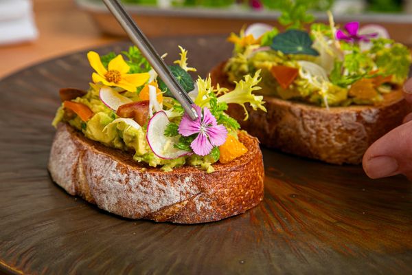 The Wild Artichoke by null