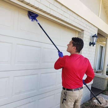 The Termite Detective - Pest Control Near Me - Cape Coral, Florida The Termite Detective - Pest Control Near Me - Cape Coral, Florida