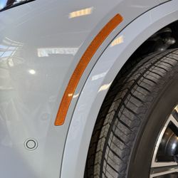 Alpha Detailing - Signal Light smoke out.