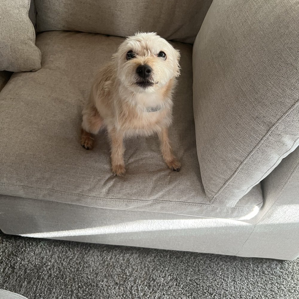 Derpy Derpy