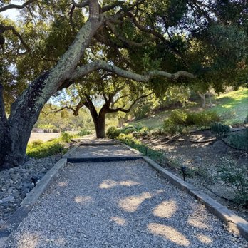 Zaca Mesa Winery - Wineries Near Me - Los Olivos, California