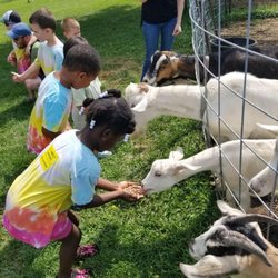 Cadence Academy Preschool