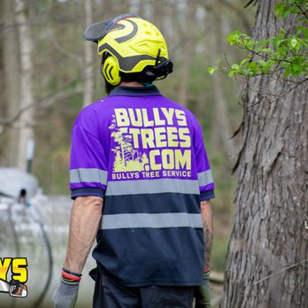 Bullys Tree Service - Tree Services Near Me - East Peoria, Illinois Bullys Tree Service - Tree Services Near Me - East Peoria, Illinois