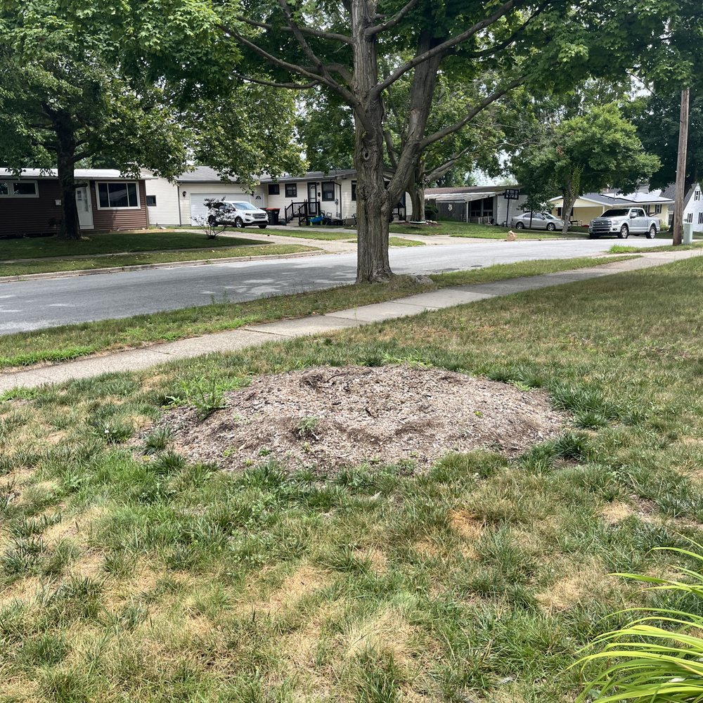 G&R Tree Surgeons - I was told this could not be ground down as it is a "flower bed" despite the fact I cannot actually dig it up because of roots/stumps left. - Tree Services Near Me - Sidney, Michigan G&R Tree Surgeons - I was told this could not be ground down as it is a "flower bed" despite the fact I cannot actually dig it up because of roots/stumps left. - Tree Services Near Me - Sidney, Michigan