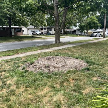 G&R Tree Surgeons - I was told this could not be ground down as it is a "flower bed" despite the fact I cannot actually dig it up because of roots/stumps left. - Tree Services Near Me - Sidney, Michigan