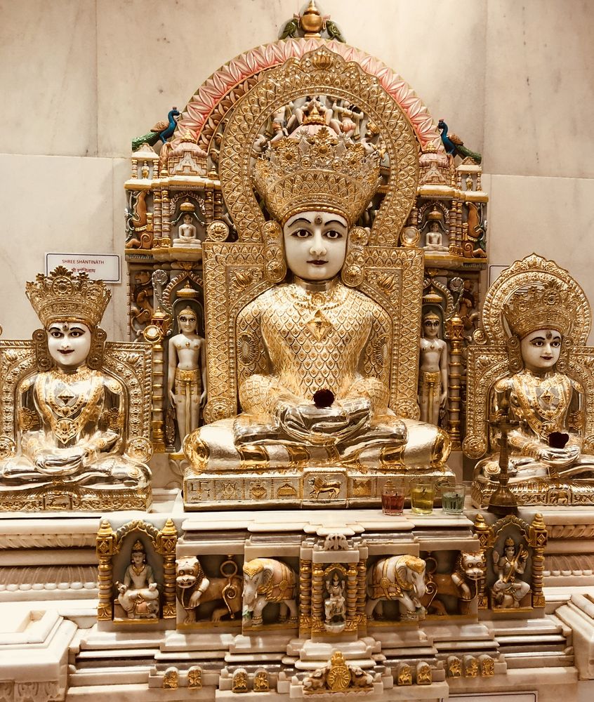 Jain Society Of Metropolitan Chicago - social services organization in Bartlett, IL