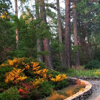 Ponderosa Ridge A Bed and Breakfast - Driveway - Bed & Breakfast Near Me - Placerville, California
