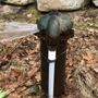 Photo of Accurate Well and Pump