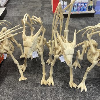 CVS Pharmacy - Oh God - Halloween stuff already! NOOOO (8/18/22) - Drugstores Near Me - Blackwood, New Jersey CVS Pharmacy - Oh God - Halloween stuff already! NOOOO (8/18/22) - Drugstores Near Me - Blackwood, New Jersey