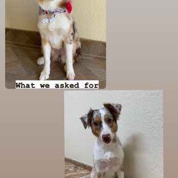 Petco - Pet Stores Near Me - Orlando, Florida Petco - Pet Stores Near Me - Orlando, Florida