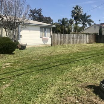 CM Landscaping Services - Grass and weeds were cleaned out. Thanks CM landscaping! - Tree Services Near Me