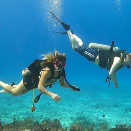 Diving Diving
