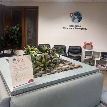 Escondido Veterinary Emergency - Emergency Pet Hospital Near Me - Escondido, California