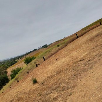 Eucalyptus Trail Loop - Hiking Near Me - Chino Hills, California