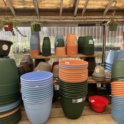 Portland Nursery