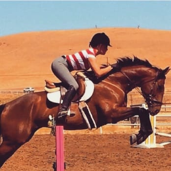 Skylark Equestrian - Lesson with Joe on Dragon - Horseback Riding Near Me - Brentwood, California Skylark Equestrian - Lesson with Joe on Dragon - Horseback Riding Near Me - Brentwood, California
