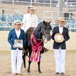 Del Dios Training Stables