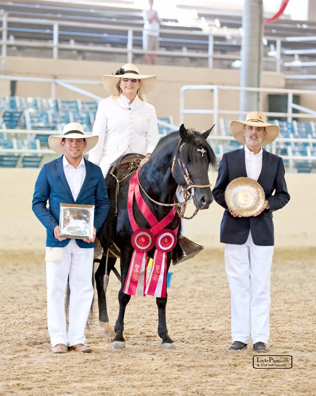 Del Dios Training Stables Logo