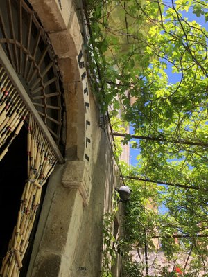 Bar Vitelli by null
