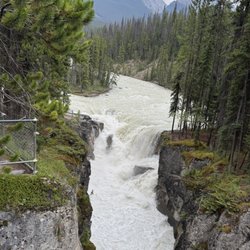 Sunwapta Falls