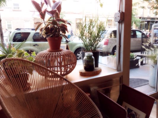 Homecoming by null Homecoming by null