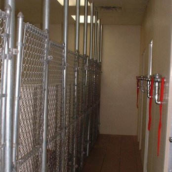 VCA Sinking Spring Animal Hospital - Veterinarians Near Me - Sinking Spring, Pennsylvania