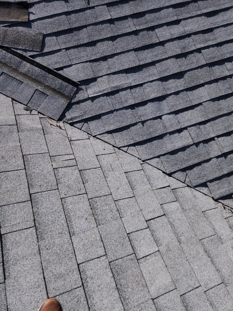 Slide of Mayans & Handyman