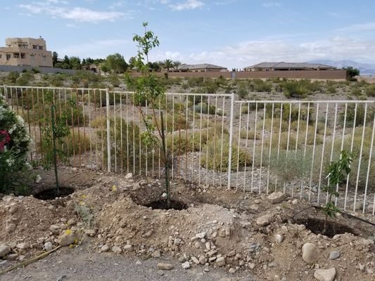 Star Nursery 8725 S Eastern Ave Las Vegas Nv Landscaping Star Nursery 8725 S Eastern Ave Las