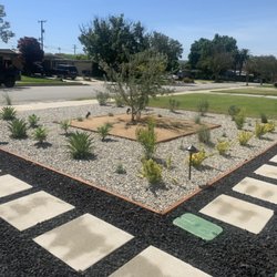 Joel & Sons Landscape Construction - Drought friendly modern landscape with black lava.