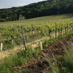 Weingut Schlossberg