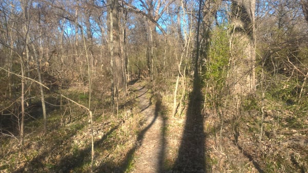Spring Creek Forest Preserve by null