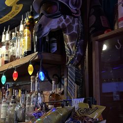 Giraffe head