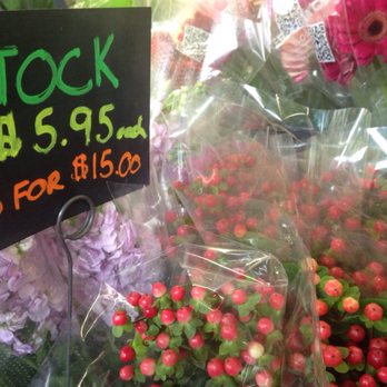 Rubia Flower Market - Always lots of color at Rubia! - Florists Near Me - Lafayette, Indiana Rubia Flower Market - Always lots of color at Rubia! - Florists Near Me - Lafayette, Indiana
